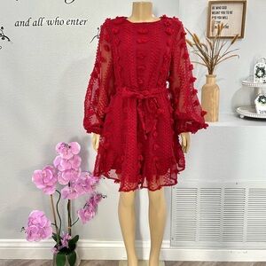 A.Calin Flying Tomato Red Pom Pom Dress Size L Large Long Sleeve Fit & Flare